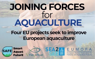 United by the common goal to improve European aquaculture, four EU projects join forces at Aquaculture Europe 2023, Vienna, Austria