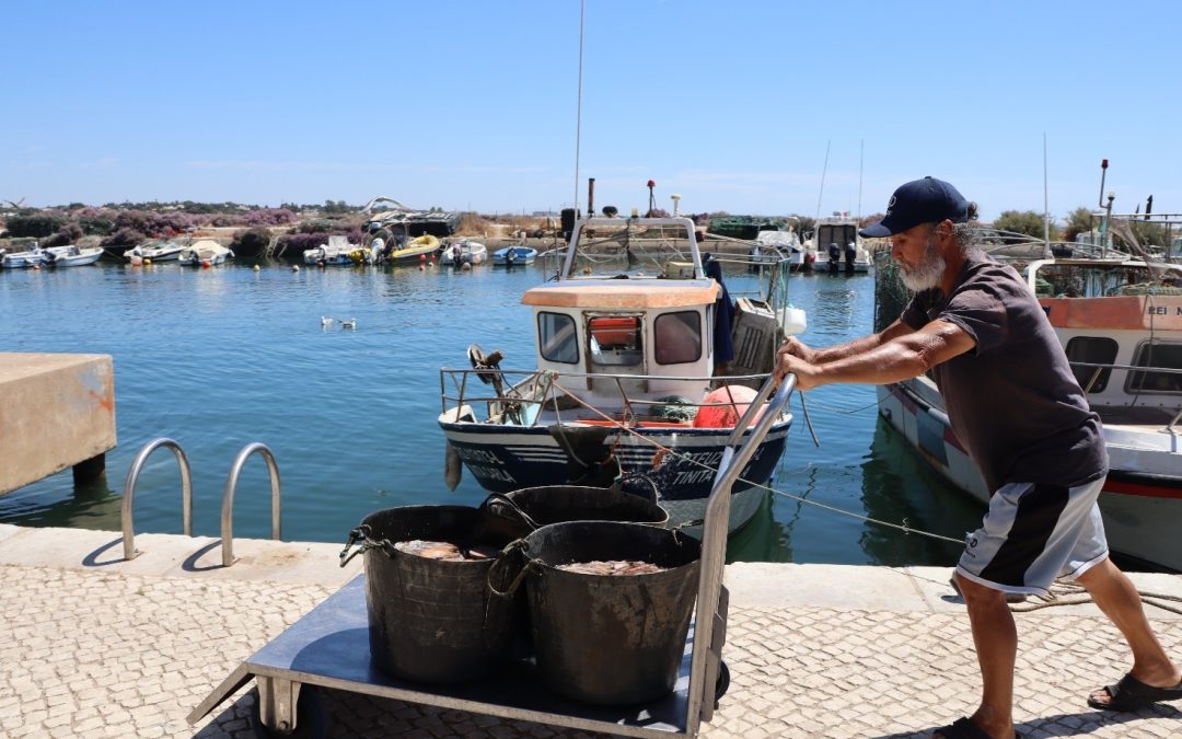 Allying technology and participatory workshops in promoting sustainable seafood consumption – the Portuguese case