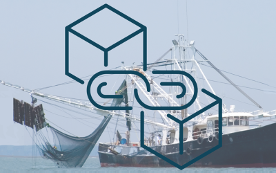 Strengthening Transparency in Seafood Supply Chains with Blockchain: How Does It Work?