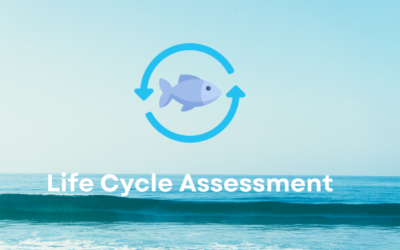 General overview of Life Cycle Assessment (LCA) in the industry: origin, uses and applications