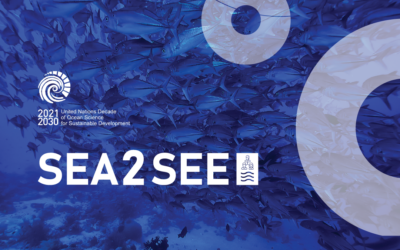 SEA2SEE Endorsed by the UN Ocean Decade