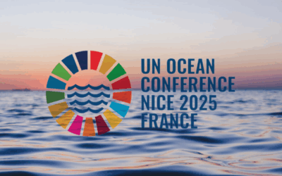 Between Digital Innovation and Logistical Reality: Reflections from the UNOC on Traceability in Fisheries