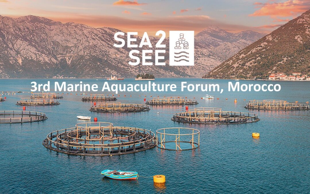 SEA2SEE Project presented at the 3rd Marine Aquaculture Forum 2024, Tangier