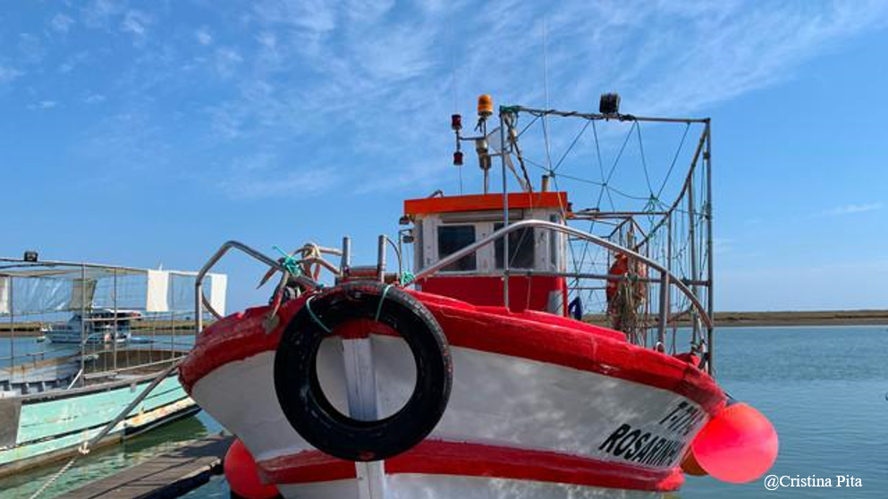 Tracing Seafood Stories: Lessons from Three Small-Scale Fisheries Initiatives