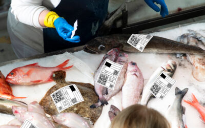 A milestone in consumer confidence: The “EU Cluster for Food Traceability and Trust”