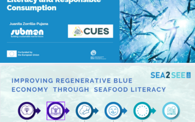 Shaping Sustainable Food Choices