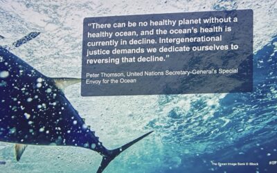 What connects seafood to people? Reflections from Seafood Expo Global