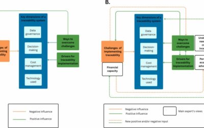 Towards inclusive digital traceability in fisheries: Expert perspectives and the European Union regulatory framework