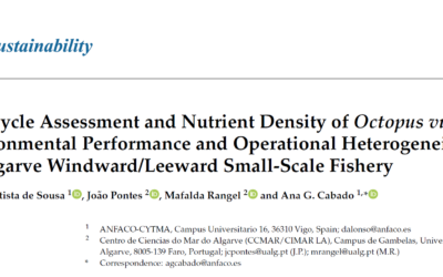 Life Cycle Assessment and Nutrient Density of Octopus vulgaris: Environmental Performance and Operational Heterogeneity in an Algarve Windward/Leeward Small-Scale Fishery